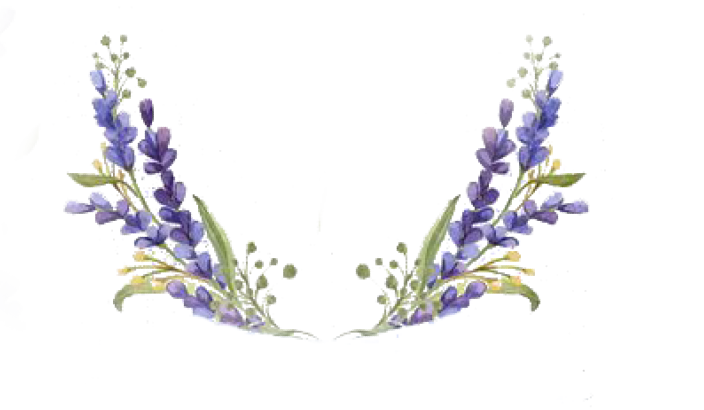 Wedding Video Shooting Services in Alappuzha